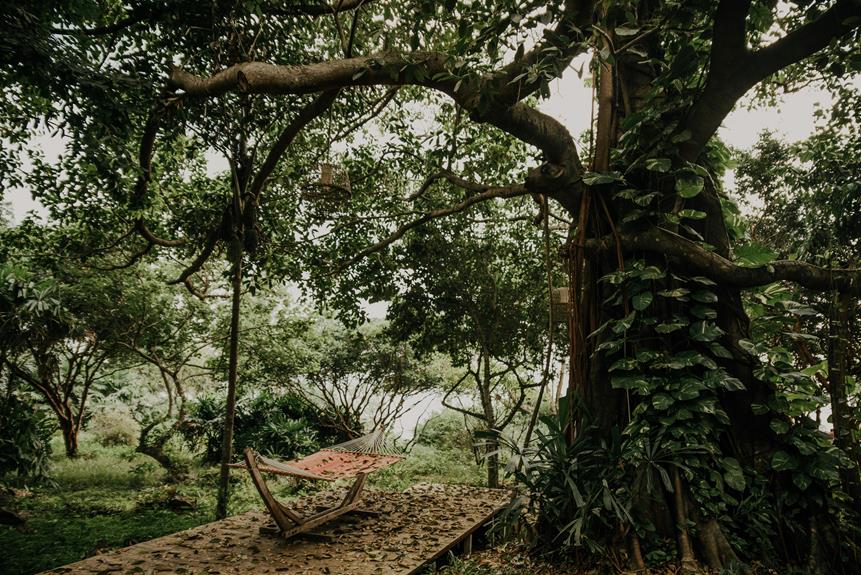 eco friendly hammock hanging